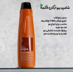 شامپو آرگان لاکمه 300 میل K.therapy - تصویر 2