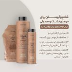 شامپو آبرسان حاوی روغن آرگان لاکمه 1000 میل مدل ARGAN OIL - تصویر 2