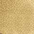 G04